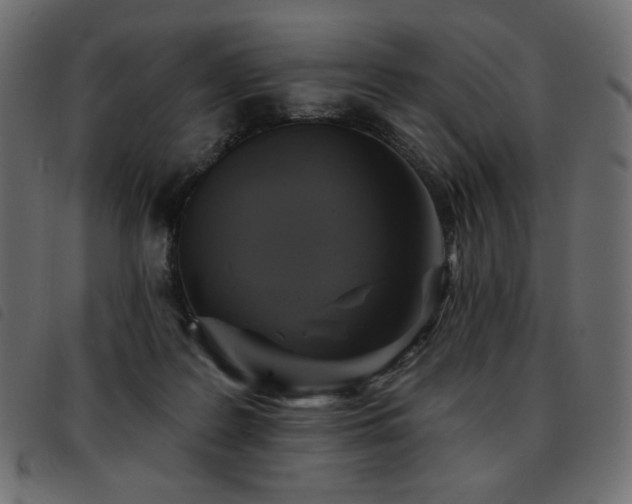 X0000093580219200710151151