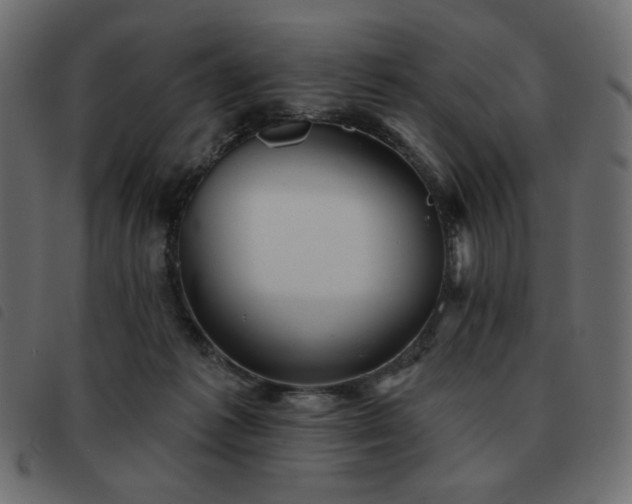 X0000093580221200710151151
