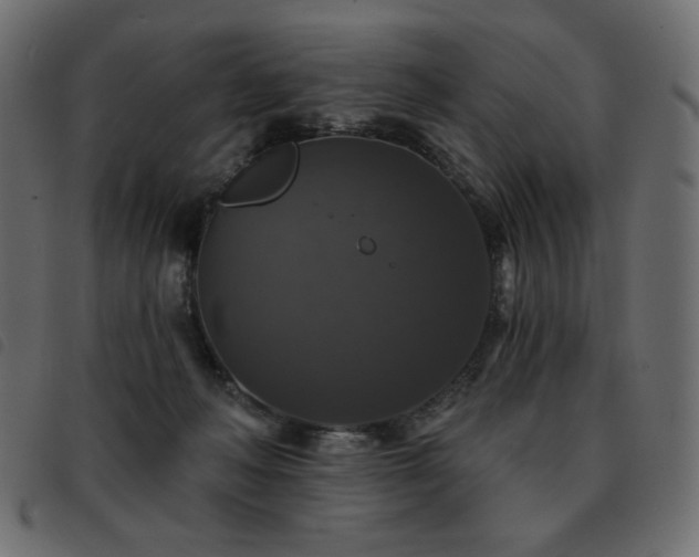 X0000093580222200710151151