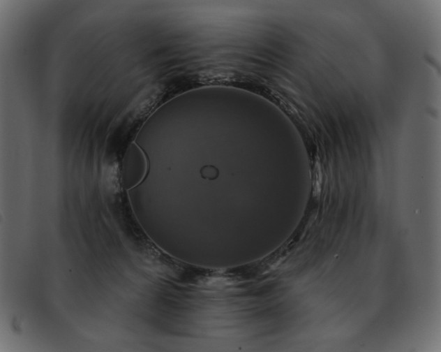 X0000093580224200710151151