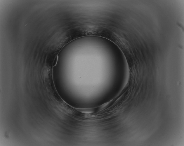 X0000093580225200710151151