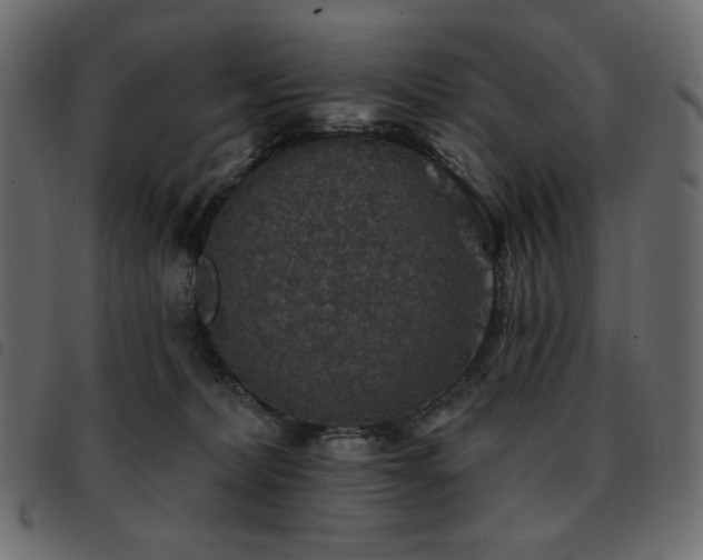 X0000093580228200710151151