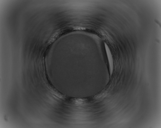 X0000093580229200710151151