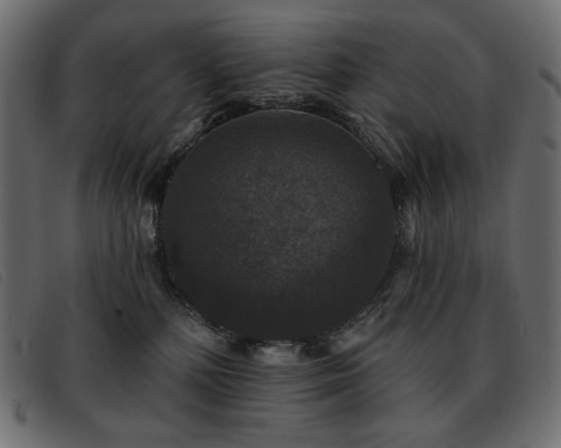X0000093580232200710151151