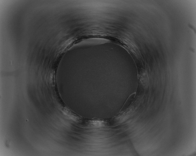 X0000093580233200710151151