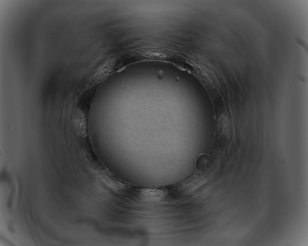X0000093580234200710151151