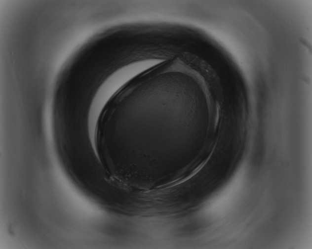X0000093580239200710151151