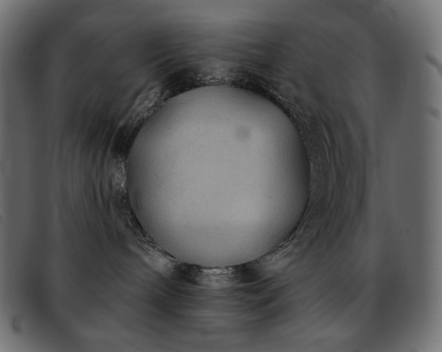 X0000093580240200710151151