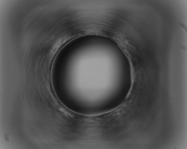 X0000093580241200710151150