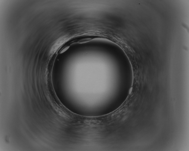 X0000093580242200710151150