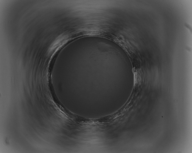 X0000093580243200710151150