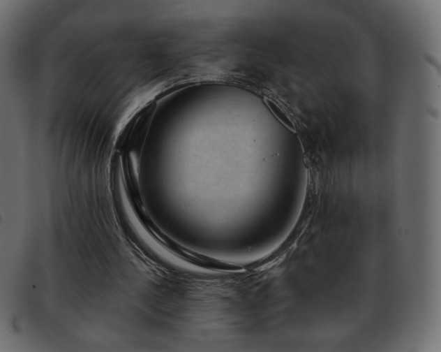 X0000093580244200710151150