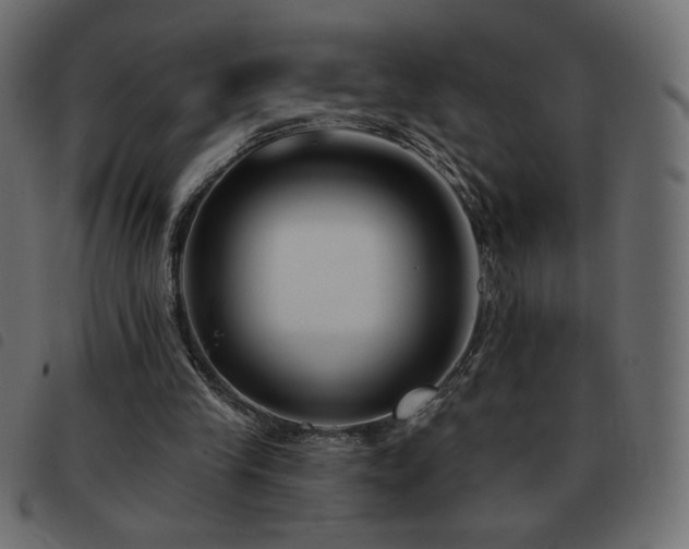 X0000093580245200710151150