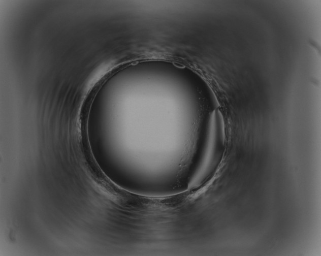 X0000093580246200710151150