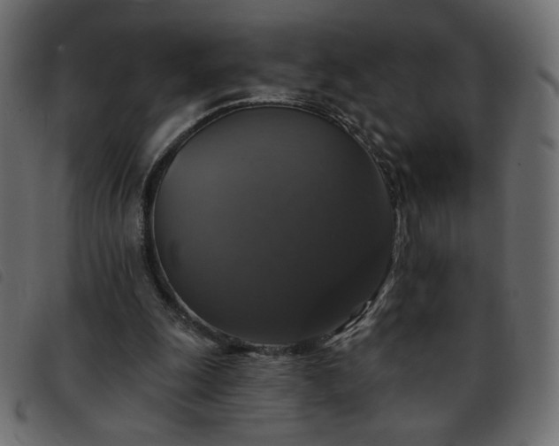 X0000093580247200710151150