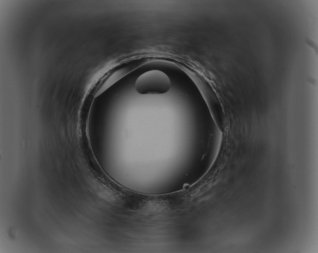 X0000093580248200710151150