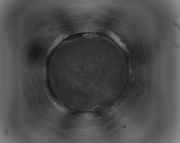 X0000093580250200710151150