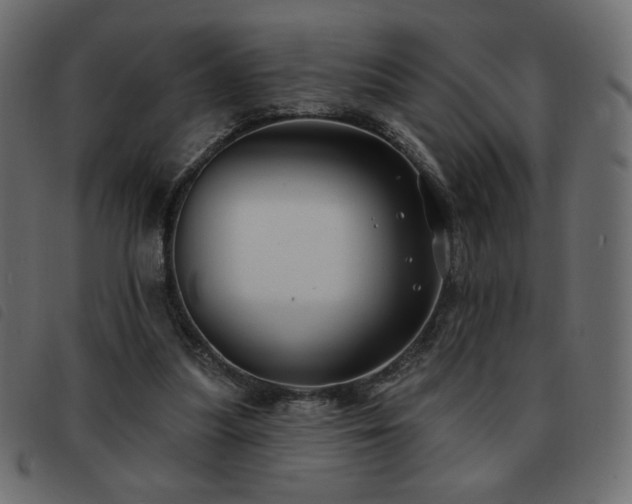 X0000093580251200710151150