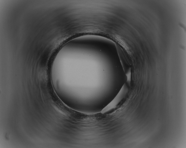 X0000093580252200710151150