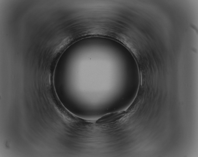 X0000093580253200710151150