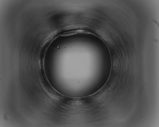 X0000093580254200710151150