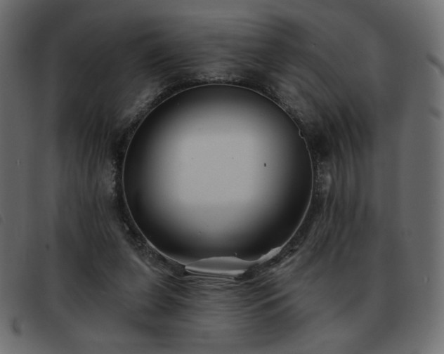 X0000093580255200710151150