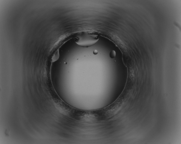 X0000093580256200710151150