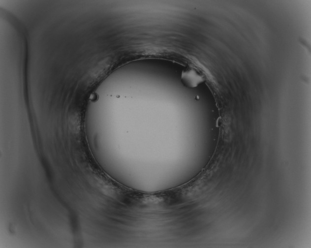 X0000093580257200710151150