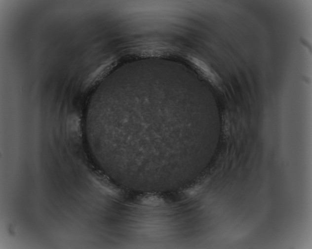 X0000093580258200710151150