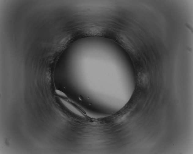 X0000093580259200710151150