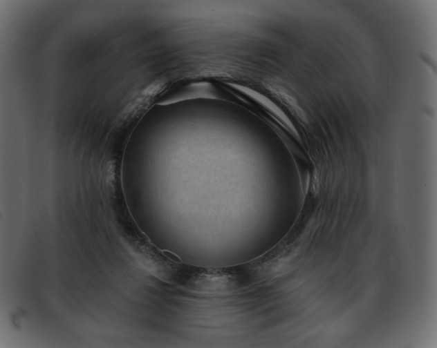 X0000093580260200710151150