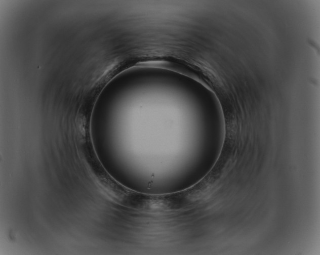 X0000093580264200710151150