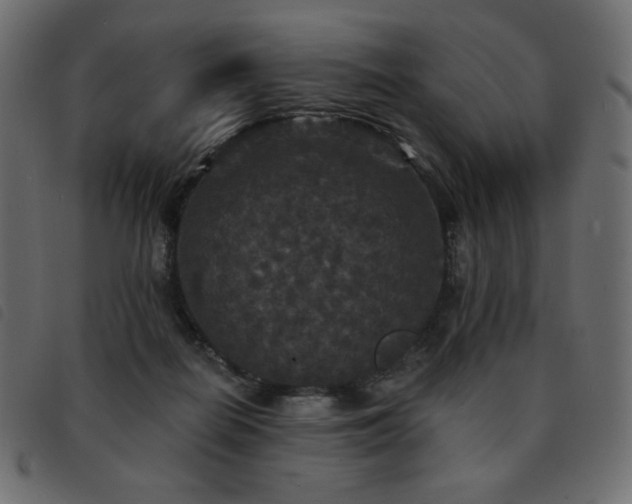 X0000093580266200710151150