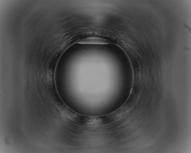 X0000093580274200710151151