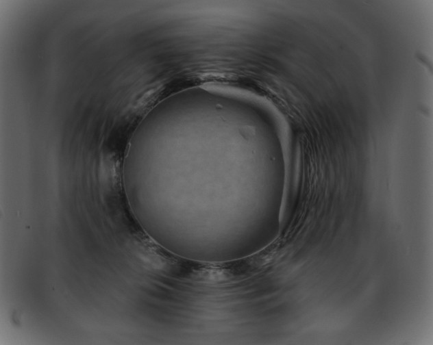 X0000093580276200710151151