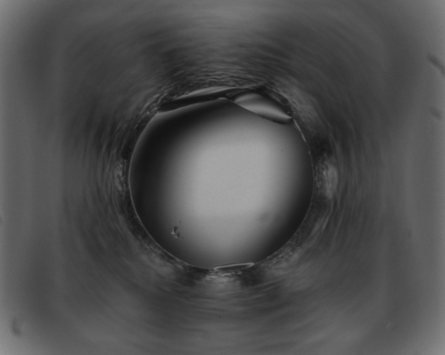 X0000093580280200710151151