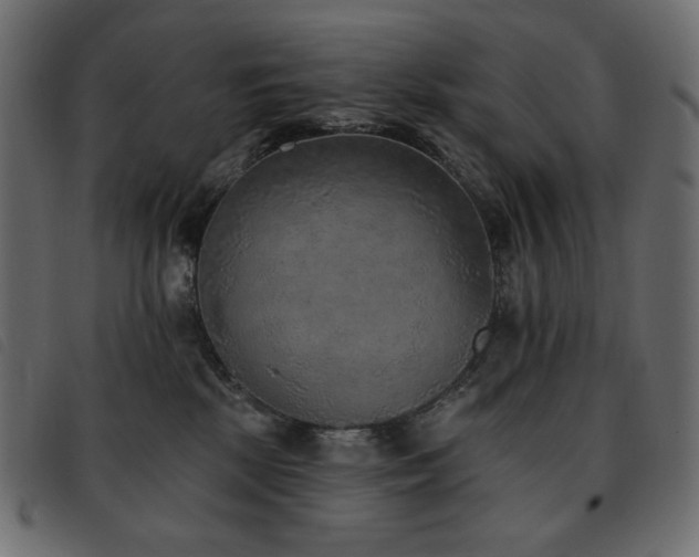 X0000093580281200710151151