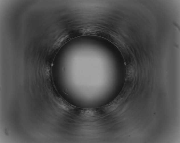 X0000093580282200710151151