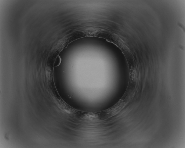 X0000093580283200710151151