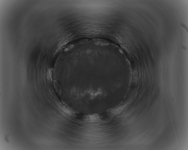 X0000093580286200710151151