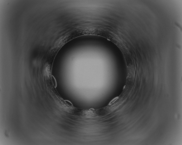 X0000093580287200710151151