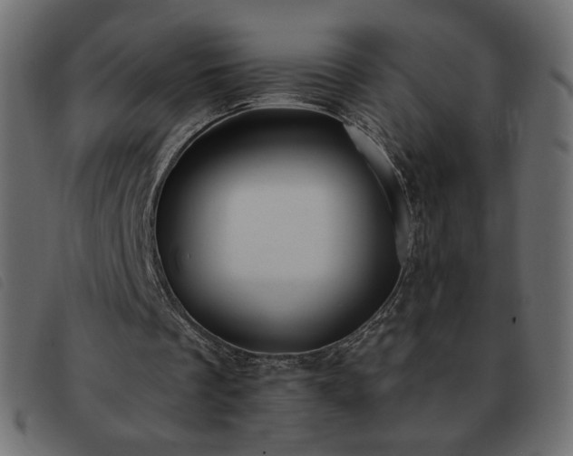 X0000093580289200710151150