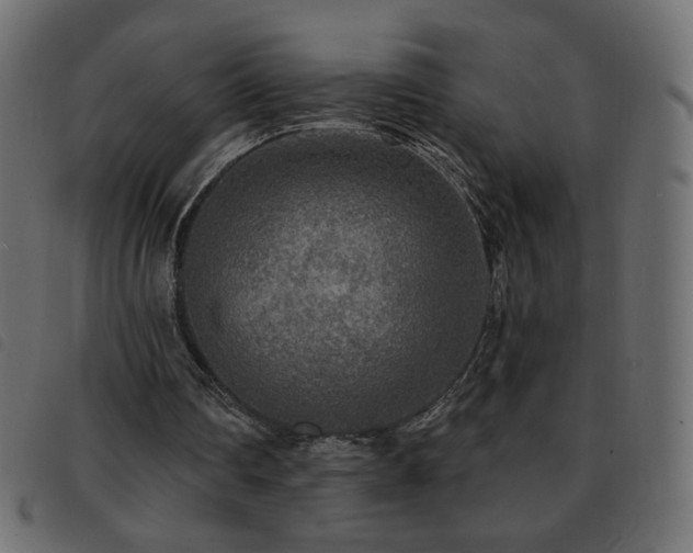 X0000093580290200710151150