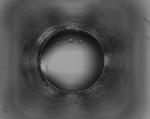 X0000093580291200710151150