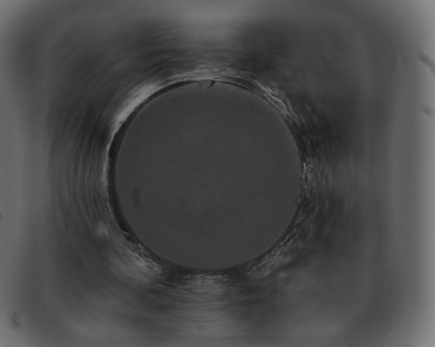 X0000093580292200710151150