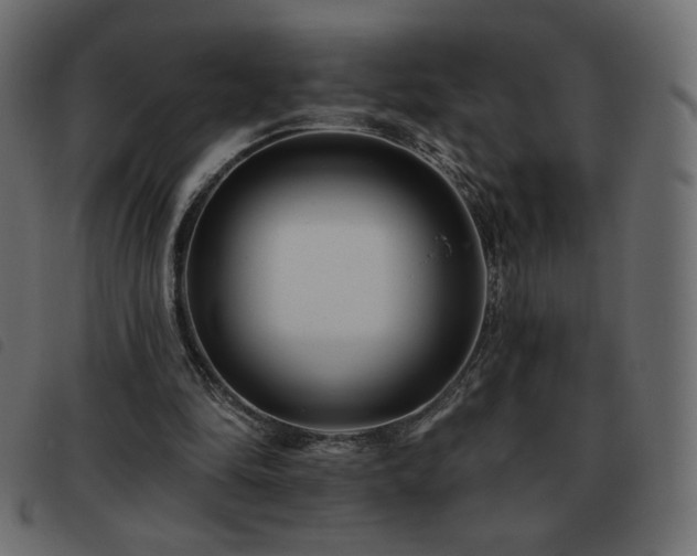 X0000093580294200710151150