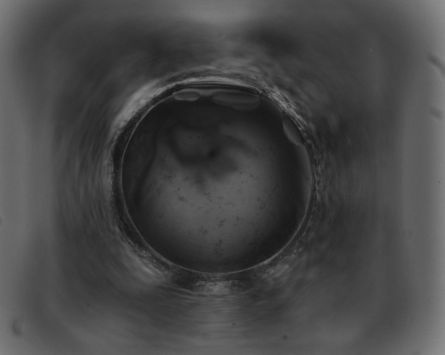 X0000093580295200710151150