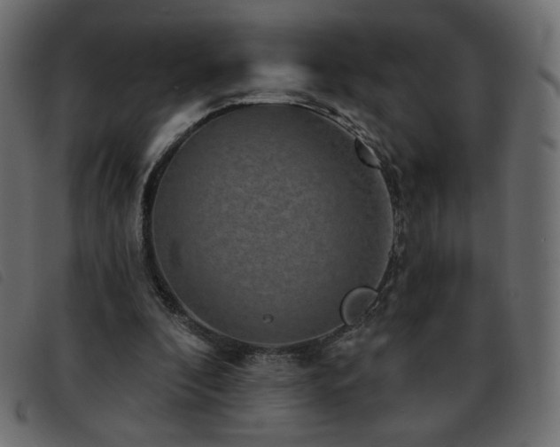 X0000093580296200710151150