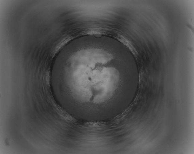 X0000093580297200710151150