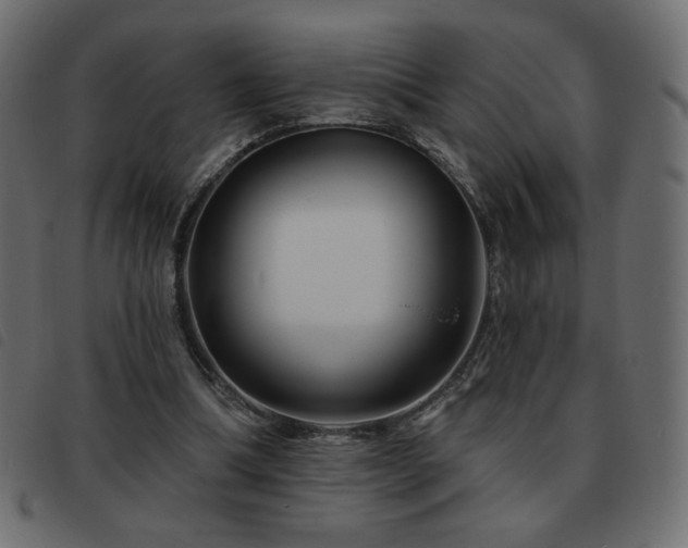 X0000093580298200710151150